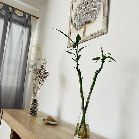 Yudelmys Confort Лас-Пальмас-де-Гран-Канария