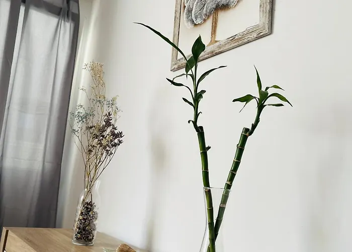 Yudelmys Confort 라스팔마스